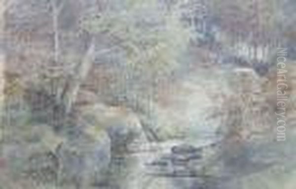 Forest Interior With Stream - view 1
