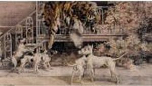 Hunting Tigers, The Terriers Hunting Tigers, The Terriers