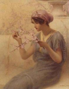 Almond Blossom