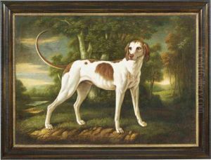 A French Hunting Dog In A Wooded River Landscape