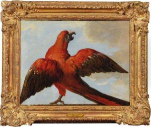 Un Perroquet Aux Ailes Deployees