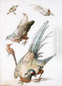 Deux Etudes De Poules Faisanes Et Trois Etudes D""""oiseaux Deux Etudes De Poules Faisanes Et Trois Etudes D""""oiseaux