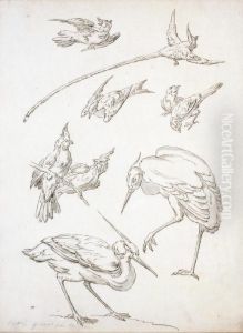  Deux Etudes D""""echassiers Et Sept Etudes D""""oiseaux 