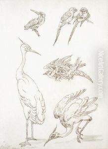 / < Deux Etudes D""""echassiers Et Cinq Etudes D""""oiseaux > by Jean-Baptiste Oudry