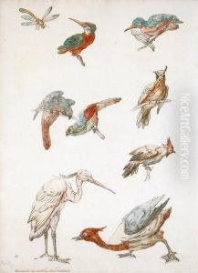 Sept Etudes D""""oiseaux (dont Un Pic-vert), Un Heron Et Une Libellule by Jean-Baptiste Oudry