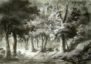 Blick In Einen Dichten Laubwald. Pinsel