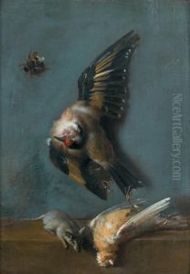 Nature Morte Aux Oiseaux, Abeille Et Musaraigne