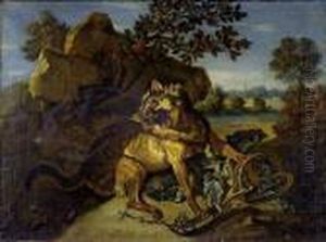Le Loup Pris Au Piege