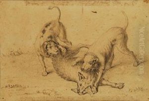 Perros Atacando A Un Lobo