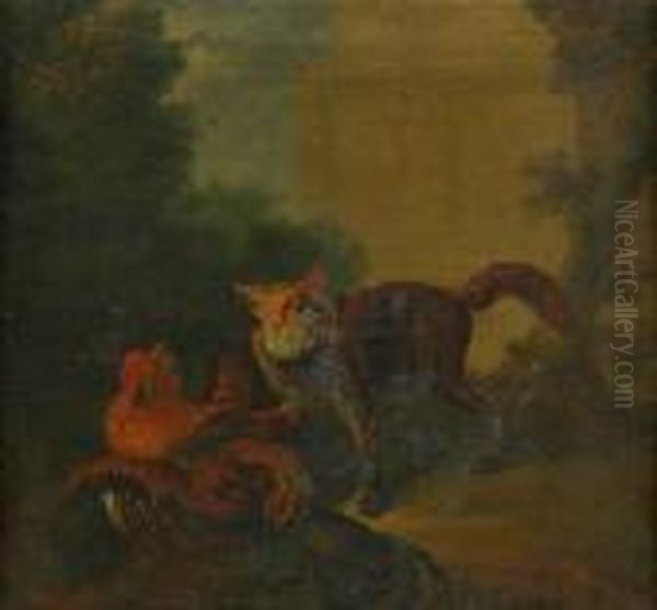 Rav Med Fangad Tupp - view 1