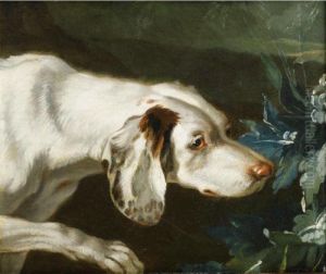 Tete D'epagneul by Jean-Baptiste Oudry