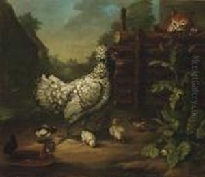 Chat Dans Une Basse-cour by Jean-Baptiste Oudry