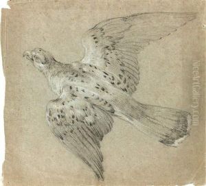 Etude De Buse by Jean-Baptiste Oudry