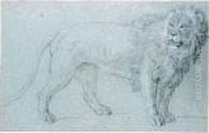 Study Of A Lion by Jean-Baptiste Oudry