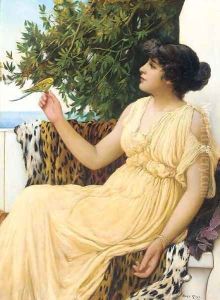 The budgerigar by Oliver Rhys