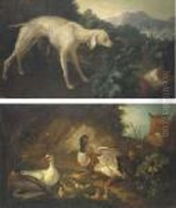 Un Chien Surprenant Deux Perdrix; Un Renard Surprenant Une Famillede Canards
