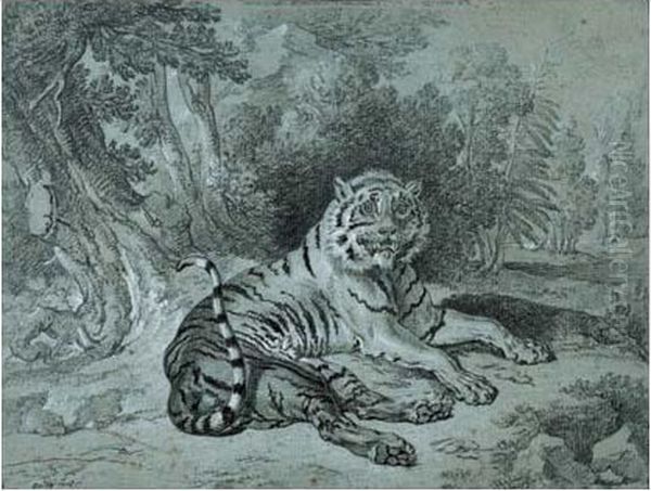 Tigre Couche Dans Un Paysage - view 1