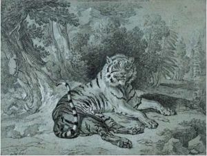 Tigre Couche Dans Un Paysage