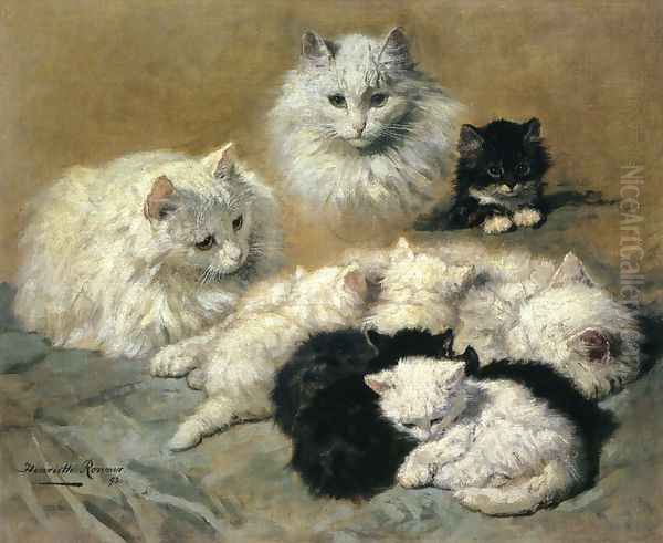 Cats and Kittens - view 1