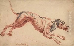 Chien Courant by Jean-Baptiste Oudry