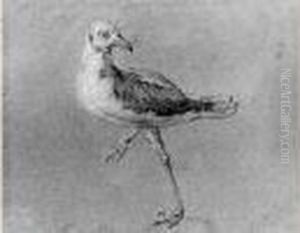 Un Oiseau Se Tenant Sur Une Patte by Jean-Baptiste Oudry