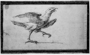 Etude De Poule by Jean-Baptiste Oudry