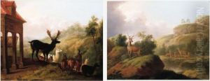 Deer And Reindeer In Landscapes