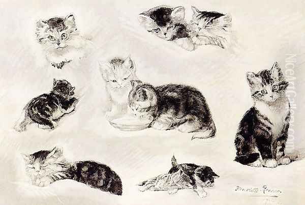 A Study Of Cats Drinking, Sleeping And Playing - view 1