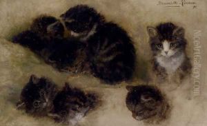 Studies Of Kittens by Henriette Ronner-Knip