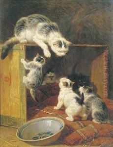 Rebellious kittens