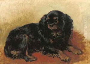 A prince Charles dog