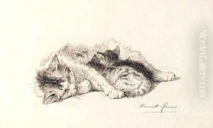 A study of a cat and kitten