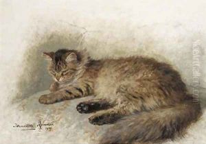 Angora brun by Henriette Ronner-Knip