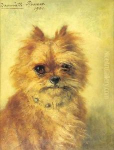 Griffon Bruxellois