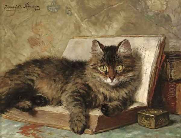 The wise cat - view 1