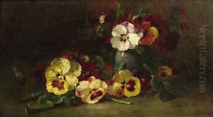 Violets