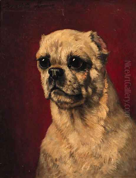 Portrait of a pug-dog - view 1