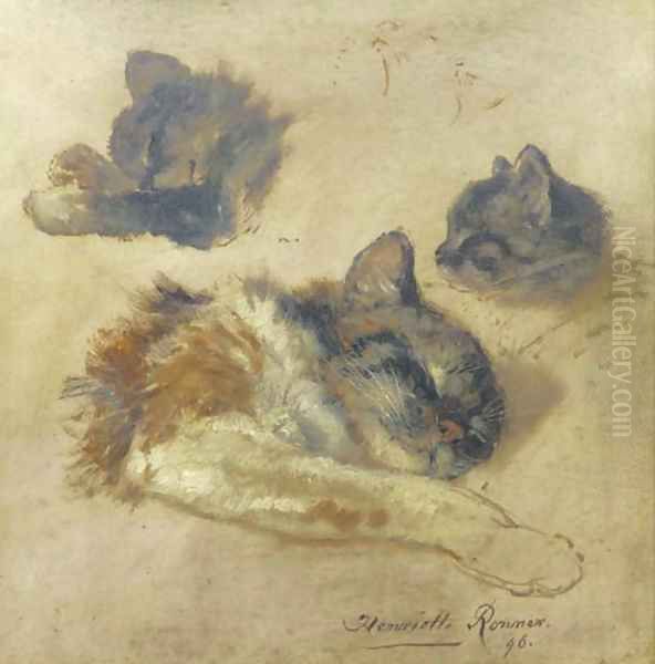 Sleeping kittens - view 1