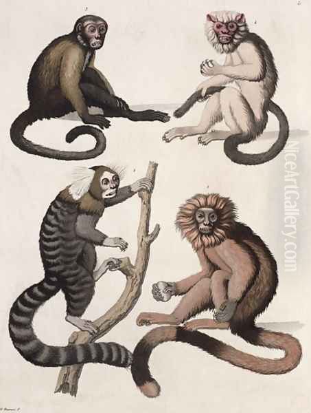 Monkeys - view 1