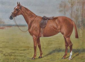 Portrait Of A Chestnut Race Horse "hesitate"