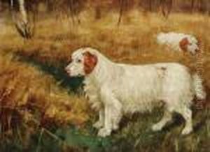A Clumber Spaniel Called 'fudge' by George Paice