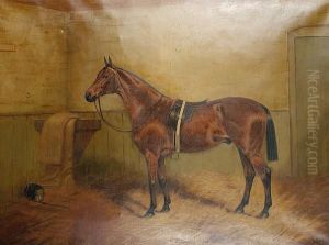 Philosopher by George Paice