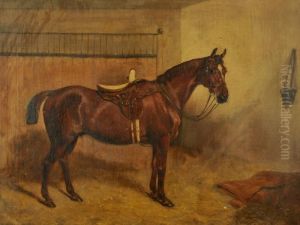 'treacle', A Chestnut Hunter In A Stable With Side-saddle