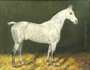 The Tyke'- A Grey Hunter In Astable