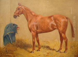 'lorna' - Hunter In A Stable