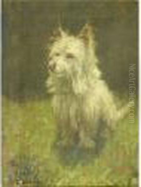 'frosty', Portraitof A Seated Long-haired Terrier - view 1