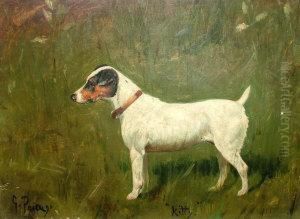 Russell Terrier "kitty" by George Paice