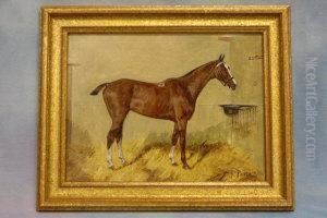 Study Of A Horse In Stable "dorothy" by George Paice