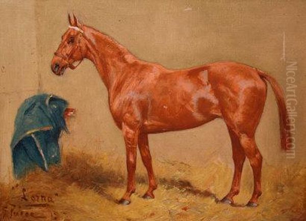 'lorna' - Hunter In A Stable - view 1