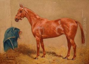 'lorna' - Hunter In A Stable 'lorna' - Hunter In A Stable